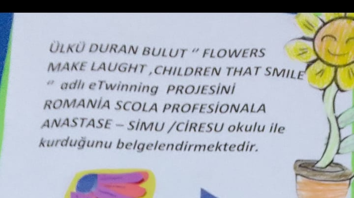 'FLOWERS THAT MAKE LAUGH, CHILDREN THAT SMILE'' adlı eTwinning projesini  kurmuştur. 